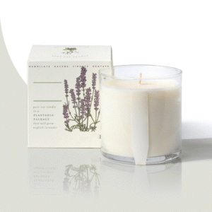 Aromatherapy Candle Packaging