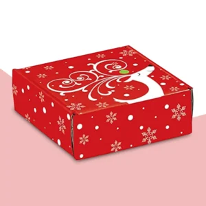 Decorative Mailer Boxes