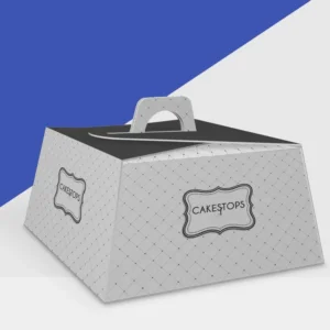 Large Cake Box