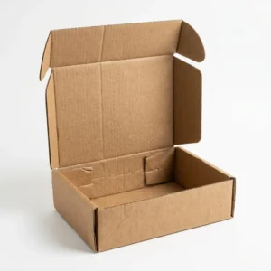 Shipping Mailer Box