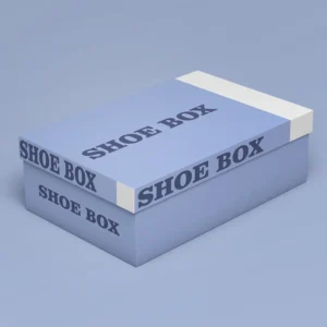 Shoe Boxes with Lids