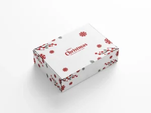 Holiday Mailer Boxes